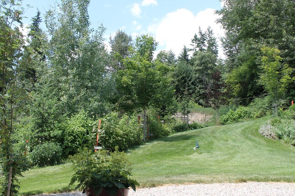 Windborne Bed & Breakfast Castlegar Luaran gambar